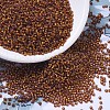 MIYUKI Round Rocailles Beads X-SEED-G007-RR0005-1