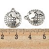 Tibetan Style Zinc Alloy Earth Charms TIBEP-R334-307AS-RS-3