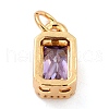 Real 18K Gold Plated Brass Inlaid Cubic Zirconia Charms ZIRC-L100-075G-01-3