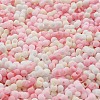 Macaron Color Opaque Frosted Glass Seed Beads X1-SEED-K009-12B-02-3