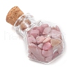 3Pcs Glass Wishing Bottle Decorations PALLOY-JF03097-4