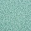 13/0 Glass Seed Beads SEED-T005-14A-A19-3
