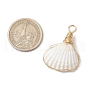Copper Wire Wrapped Natural Shell Pendants PALLOY-JF03494-2