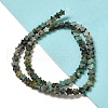 Natural African Turquoise(Jasper) Beads Strands G-G085-B06-02-2
