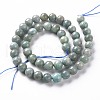 Natural Amazonite Beads Strands G-S333-8mm-005-2