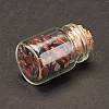 Transparent Glass Wishing Bottle Decoration DJEW-A001-01A-02-3