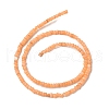 Natural Freshwater Shell Beads Strands SHEL-P017-01B-05-2