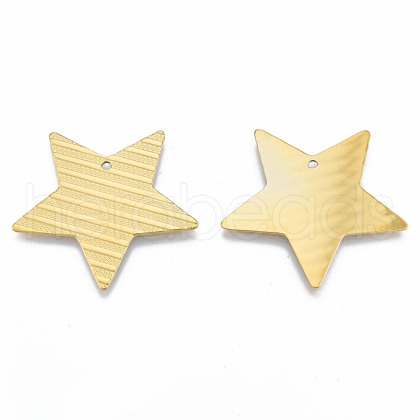 Ion Plating(IP) 304 Stainless Steel Pendants STAS-N098-194LG-1