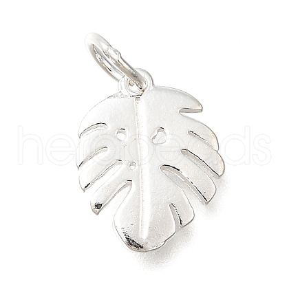 925 Sterling Silver Pendants STER-F059-09S-02-1