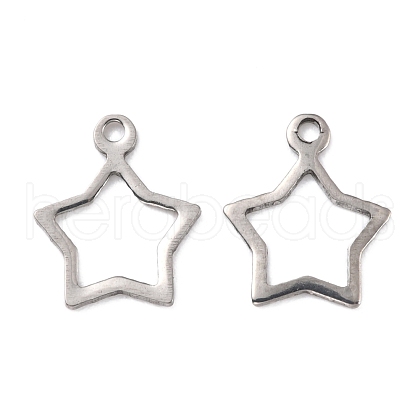 Tarnish Resistant 201 Stainless Steel Charms STAS-K217-05-1