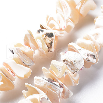 Natural Trochid Shell/Trochus Shell Bead Strands SSHEL-N034-105-B01-1