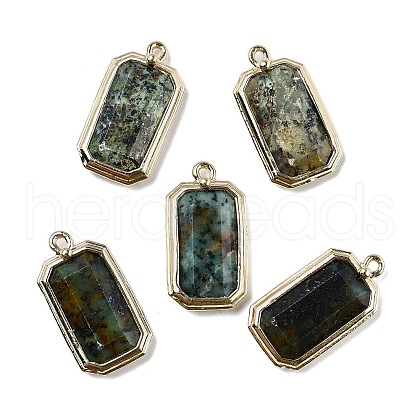 Natural African Turquoise(Jasper) Pendants G-U019-04G-04-1