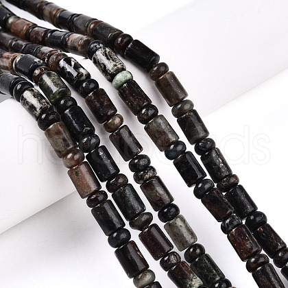 Natural Biotite Beads Strands G-N346-03A-02-1