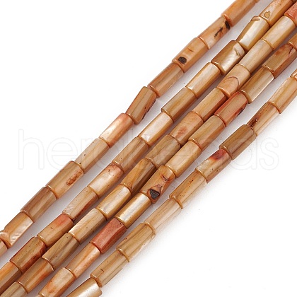 Natural Freshwater Shell Dyed Beads Strands X-SHEL-M018-11-11-1