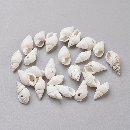 Spiral Shell Beads BSHE-L037-03-1