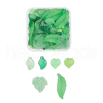 60Pcs 6 Style Transparent & Frosted & Opaque Acrylic Pendants FACR-YW0001-01-1