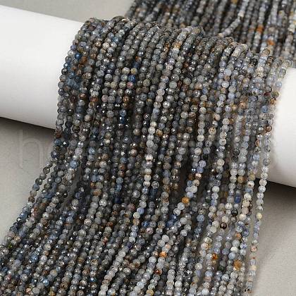 Natural Kyanite Beads Strands G-RM2025-A34-2mm-1