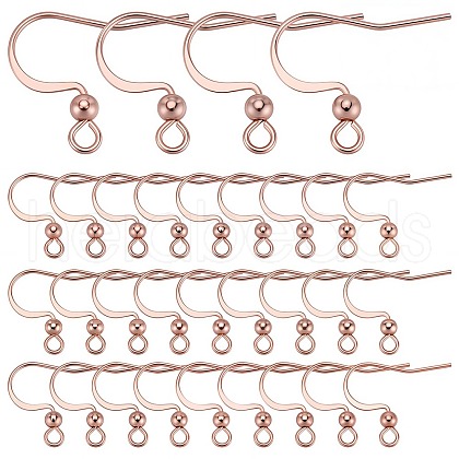 SUNNYCLUE 100Pcs 316 Surgical Stainless Steel Earring Hooks STAS-SC0006-43-1