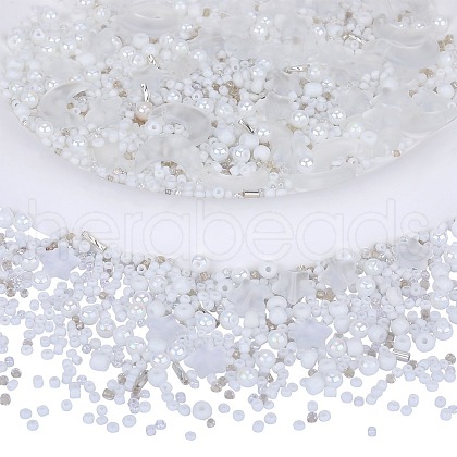 2 bag Glass & Seed Beads GLAA-SZ0001-93-1