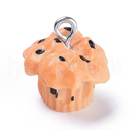 Resin Pendants RESI-K009-02P-1