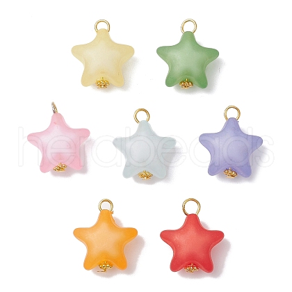 Opaque Acrylic Pendants PALLOY-JF03993-1