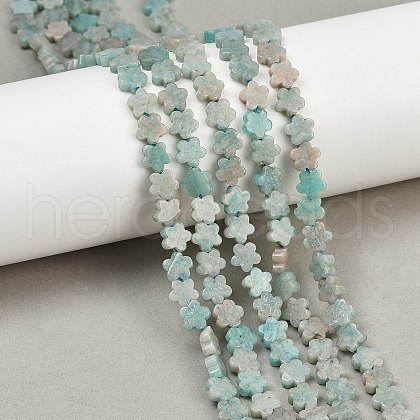 Natural Amazonite Beads Strands G-B138-C10-01-1