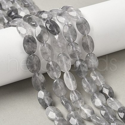 Natural Cloudy Quartz Beads Strands G-F790-B02-01-1