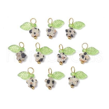 10Pcs Natural Dalmatian Jasper Flower Charms PALLOY-JF03765-04-1