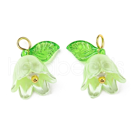 Acrylic Pendants OACR-D012-01E-1