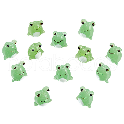 DELORIGIN 12Pcs Handmade Lampwork Beads LAMP-DR0001-03-1