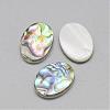 Paua Shell Cabochons SSHEL-R042-20-1