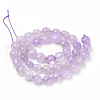 Natural Amethyst Beads Strands G-Q961-13-8x10-2