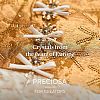 Preciosa® MAXIMA Crystal Round Stones X-PRC-RBSS29-90090-5