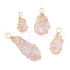 Raw Rough Natural Ametrine Copper Wire Wrapped Pendants PALLOY-JF02130-1