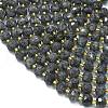 Natural Labradorite Beads Strands G-K389-E75-01-3