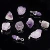  Natural Amethyst Pendants FIND-NB0003-57-4