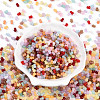 Glass Seed Beads SEED-N007-23A-2