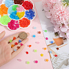 SOFPLATE 1300Pcs 13 Colors Transparent Acrylic Bead Caps TACR-SP0001-07-3