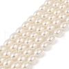 Electroplated Shell Pearl Beads Strands BSHE-Z009-10C-1