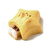 Cute Opaque Resin Cabochons RESI-L046-A04-2