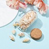 Glass Dome Bottle Display Decorations AJEW-JD00008-03-4