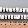 Natural Howlite Beads Strands G-T140-35-5