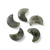 Natural Labradorite Beads X-G-NH0001-01D-1