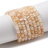 Natural Freshwater Shell Beads Strands SHEL-P017-01B-10-1