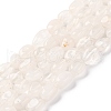 Natural Quartz Crystal Beads Strands G-G146-A29-01-1