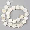 Natural Freshwater Shell Beads Strands SHEL-S276-84-2