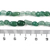 Natural Green Aventurine Beads Strands G-P497-01B-20-5