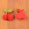 Resin Cabochons CRES-B3049-A99-2