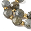 Natural Labradorite Beads Strands G-G271-C09-10mm-4