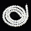 Natural Trochid Shell/Trochus Shell Bead Strands SSHEL-N034-134-2